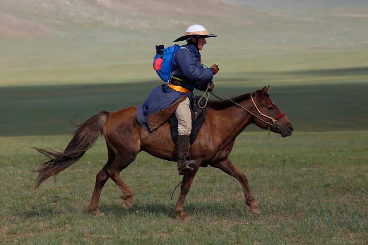 Endurance Horses  Butler Professional Farrier Schools