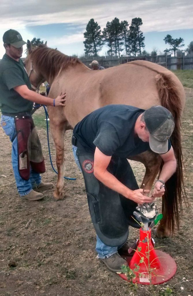 Farrier Training, Farrier Classes, Farrier Career, Butler Professional